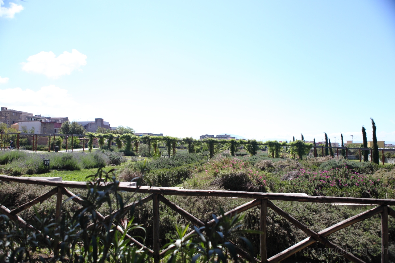 EOS 5D Mark II04_05_20121631.JPG